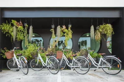 Blu Monkey Hub and Hotel Phuket Town – 写真 6